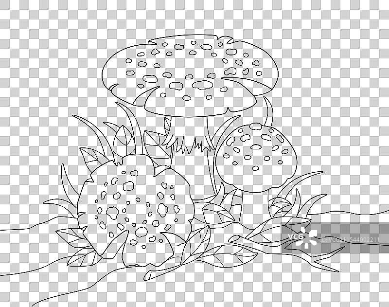 草地和树叶中的毒蝇伞蘑菇图片素材