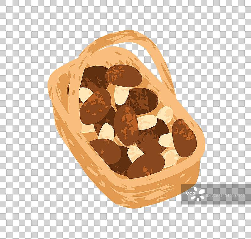 森林中采摘的蘑菇篮子里的真菌图片素材