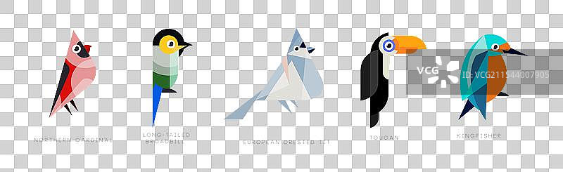 不同鸟类的扁平图标及名称集合图片素材