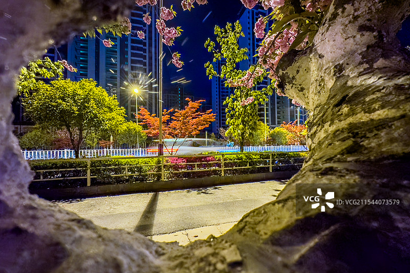 湖北利川城市里的春色图片素材