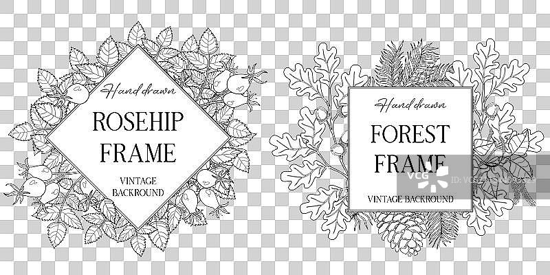 手绘植物框架，带有叶子和图片素材