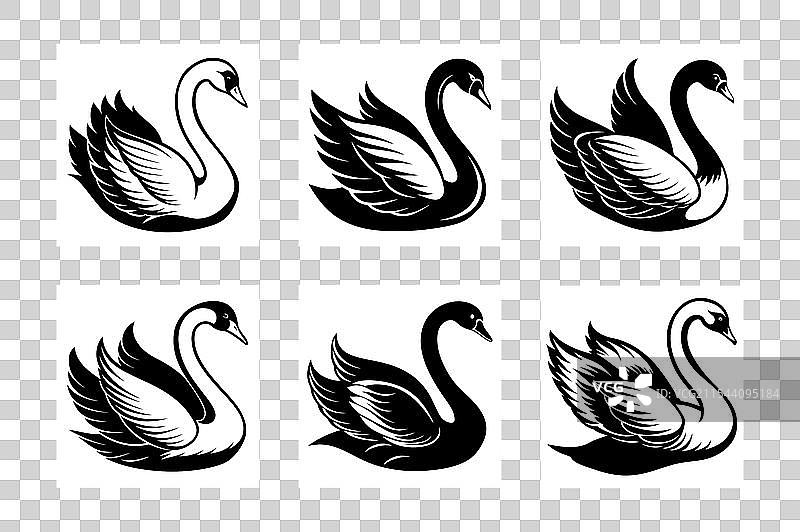 天鹅线条艺术剪影图片素材