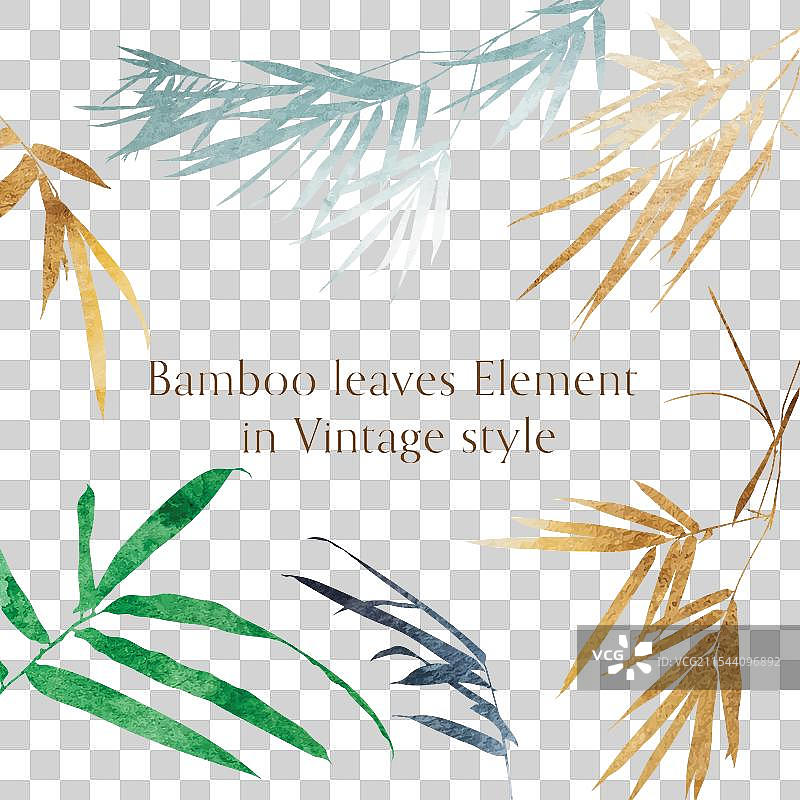 白色背景上的竹叶枝图片素材