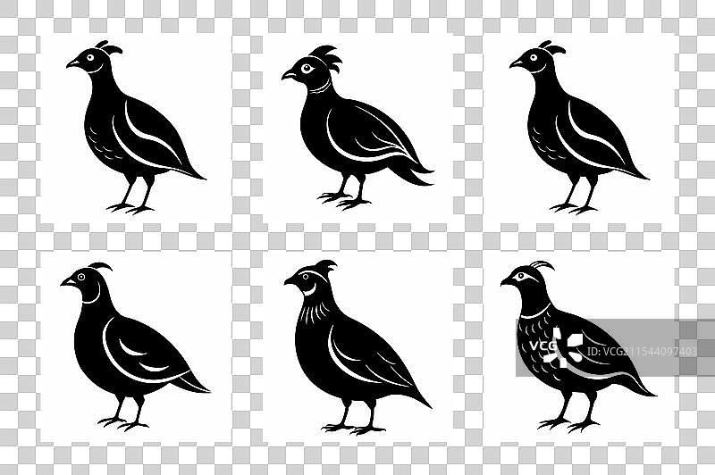 白色背景下的鹌鹑剪影图片素材