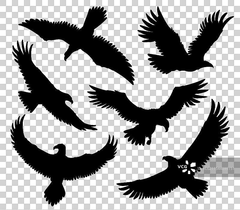 秃头鹰黑色剪影图标集图片素材