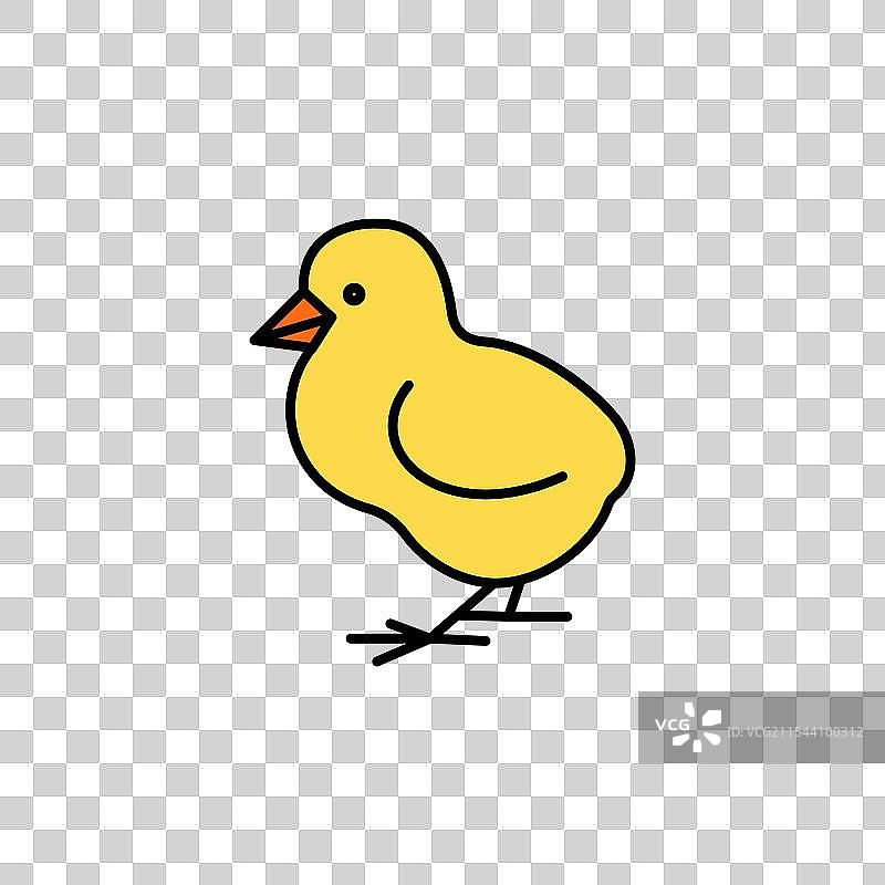 白色背景上的小鸡彩色图标图片素材