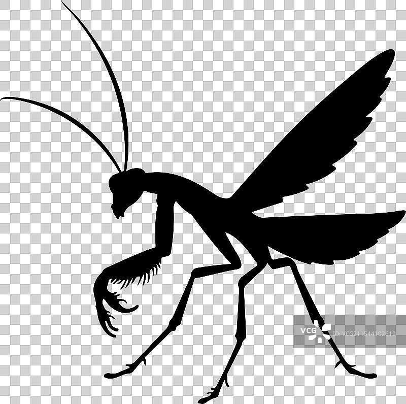 白色的螳螂图标剪影图片素材