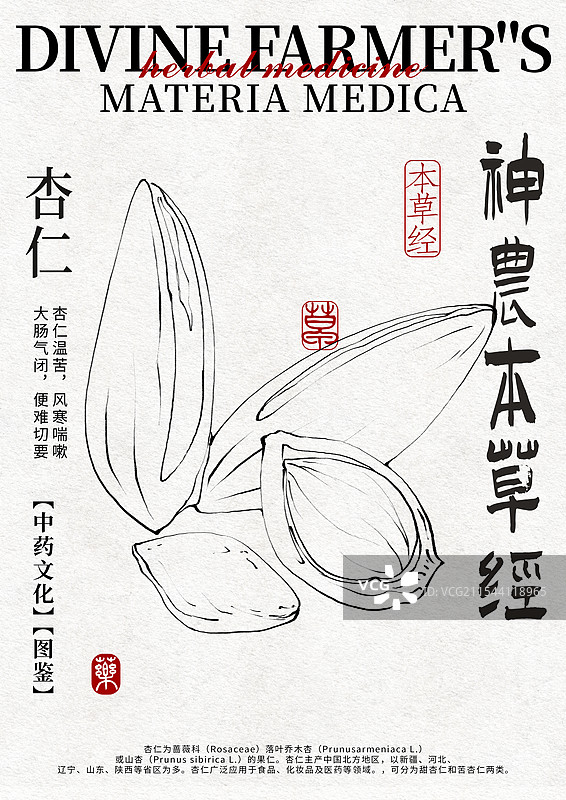 杏仁手绘中药材水彩插画设计模版竖版图片素材