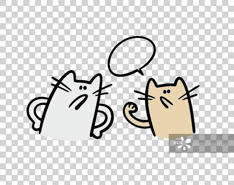 两只流浪猫正在打架和争吵图片素材