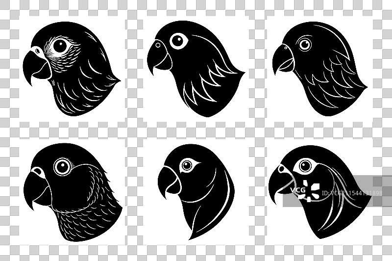 爱情鸟头部黑色剪影图片素材