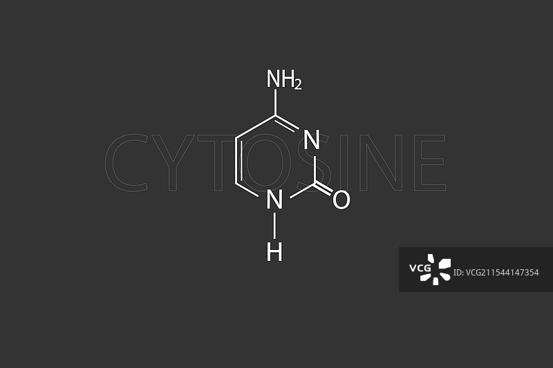 鸟氨酸分子的骨架化学式图片素材