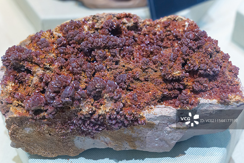 钒铅矿 德国产 山东省地质博物馆图片素材