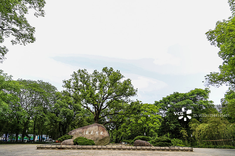 杭州花圃公园图片素材