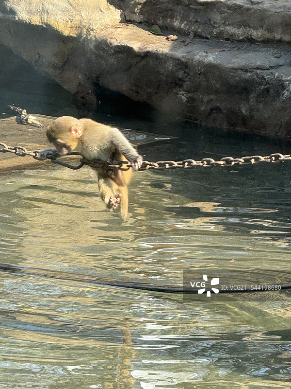美丽的南京红山动物园风光图片素材