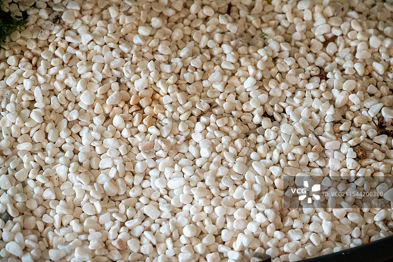 白色背景下的鹅卵石全帧拍摄图片素材