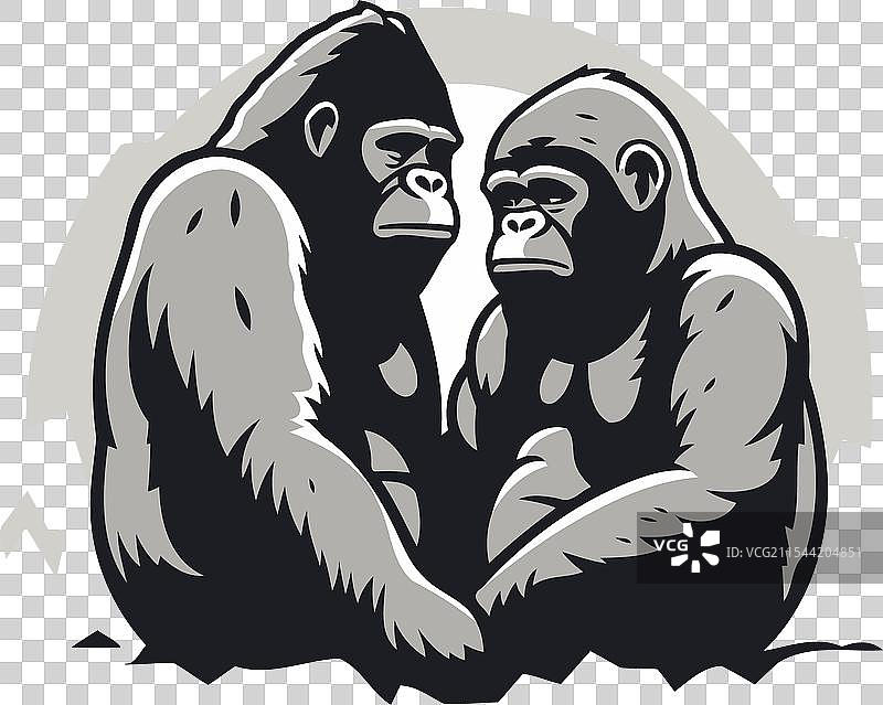 一只大猩猩和另一只大猩猩坐在前面图片素材