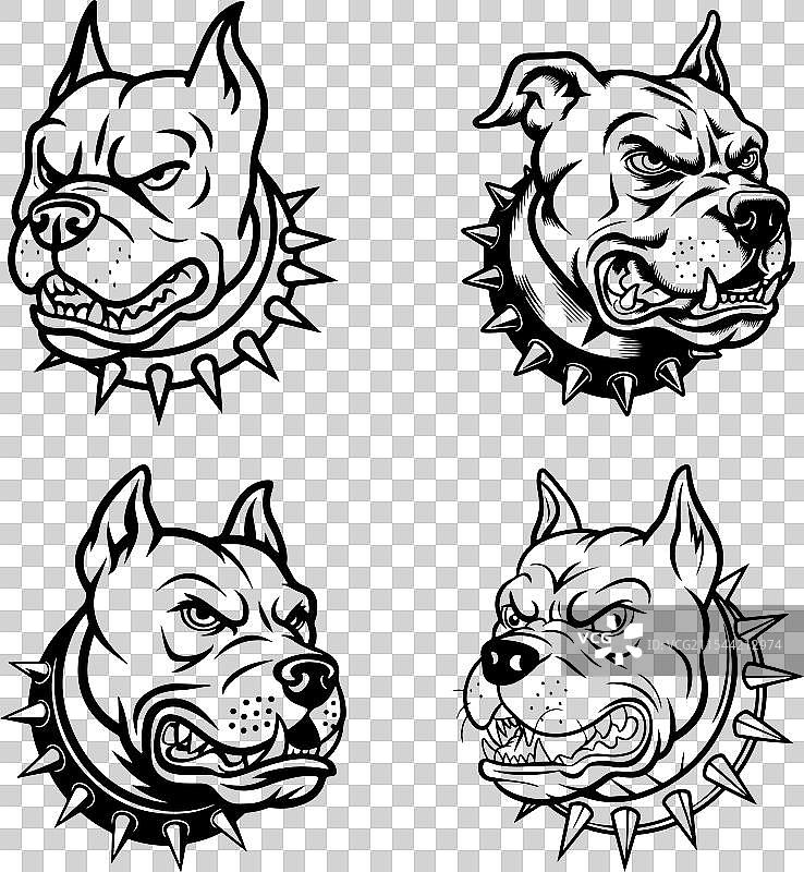 攻击性的斗牛犬头部图片素材