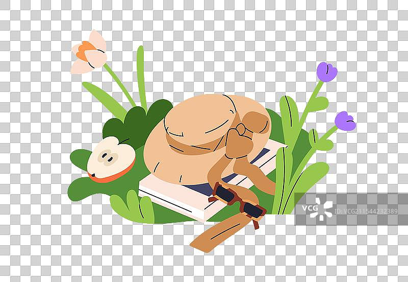 草帽、书籍和太阳镜在户外自然环境中图片素材