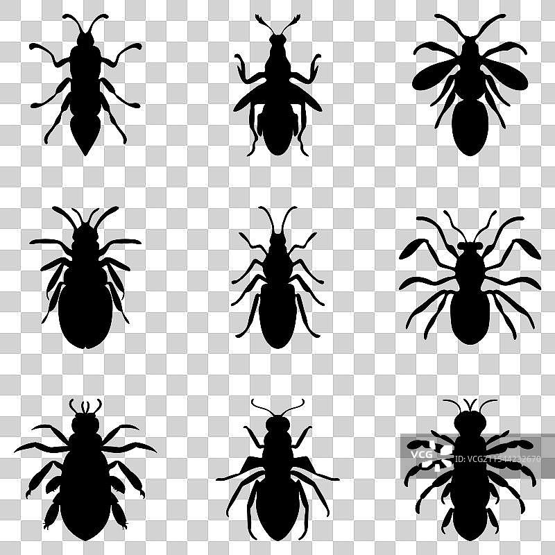 简单的昆虫设计套件图片素材