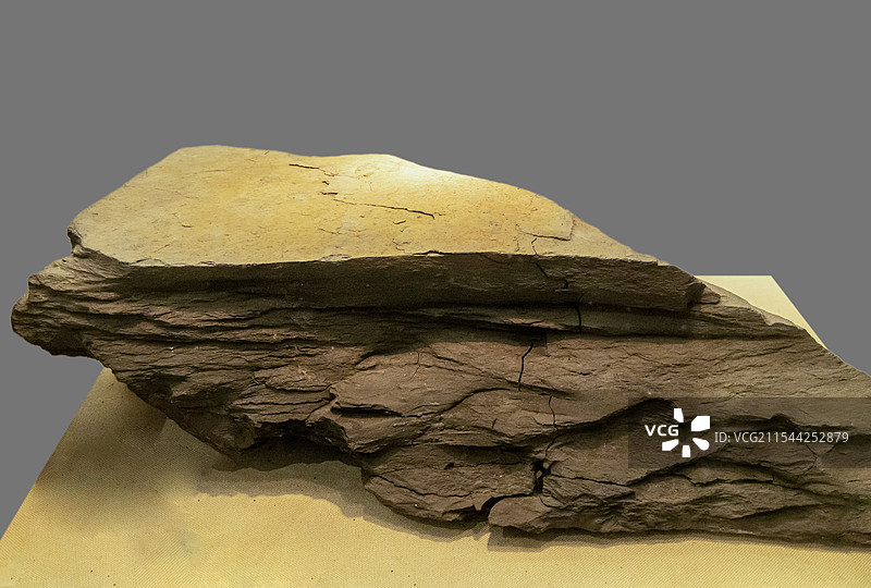 广东省博物馆“广东省自然资源基本陈列”展：油页岩（油页岩可以燃烧发电，又可以提炼类似石油的页岩油）图片素材