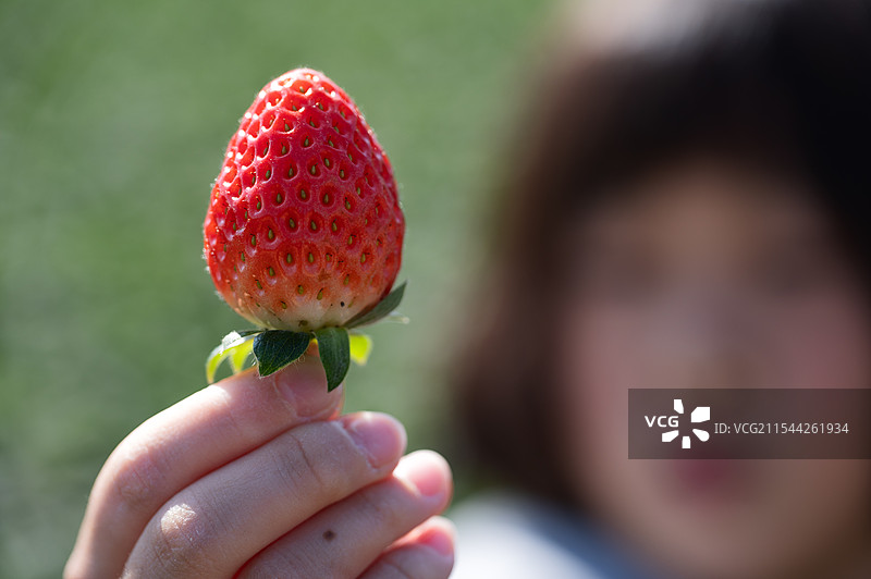一只手拿着一颗鲜红的草莓，草莓表面布满籽点，底部有绿色叶子，背景中隐约可见一个穿着蓝色衣服的人，整体图片素材