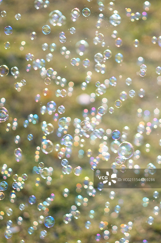 阳光下漂浮在草地上的肥皂泡图片素材