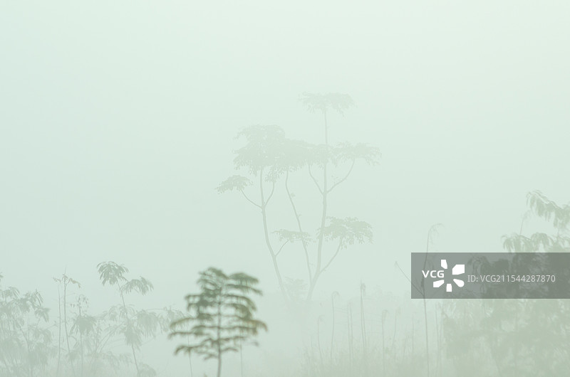 山间晨雾图片素材