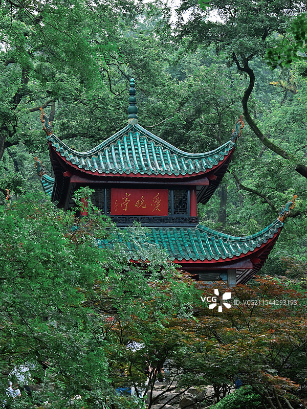 绿色树木之间的湖南长沙湖南大学岳麓书院爱晚亭图片素材