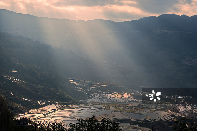 圣光映梯田图片素材