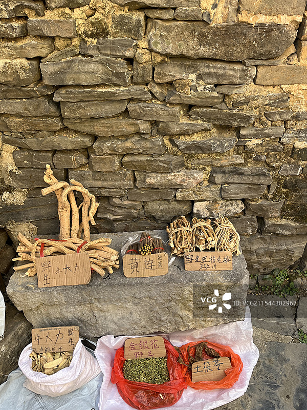 传统中药材中药植物煲汤养生药材图片素材