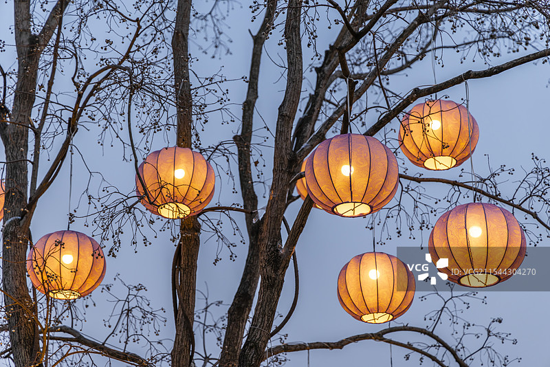 树上灯笼的夜色中式灯笼花灯春节新年元宵节图片素材