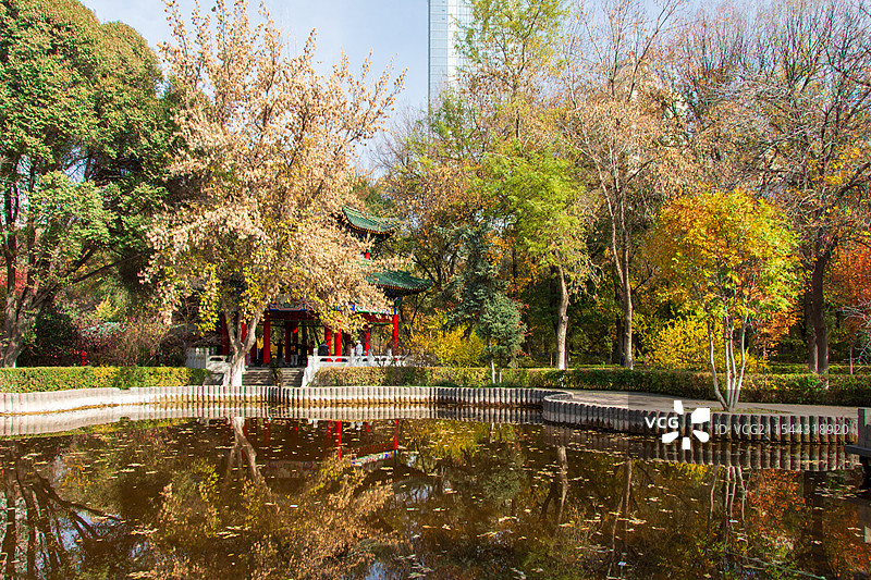 乌鲁木齐人民公园秋景图片素材