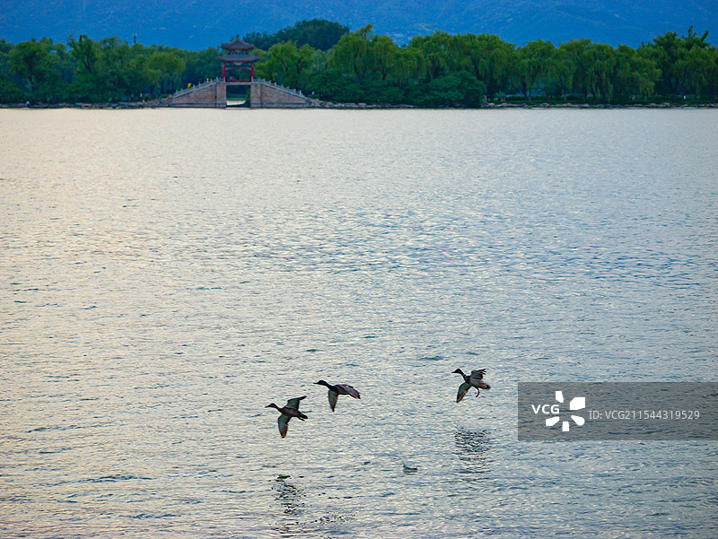 昆明湖图片素材