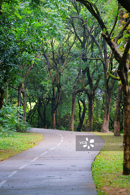 中国广东省深圳市南山区，燕晗山郊野公园，冬季雨雾天气，公园环境之美！图片素材