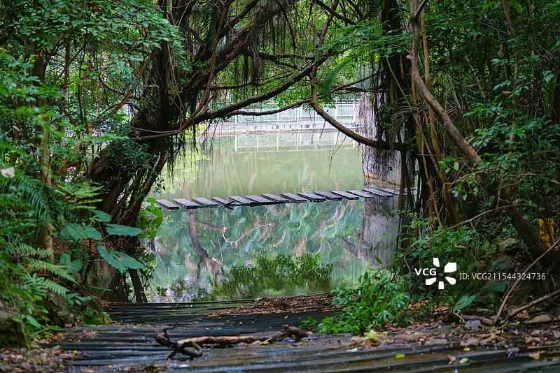 中国广东省深圳市南山区，燕晗山郊野公园，冬季雨雾天气，公园环境之美！图片素材