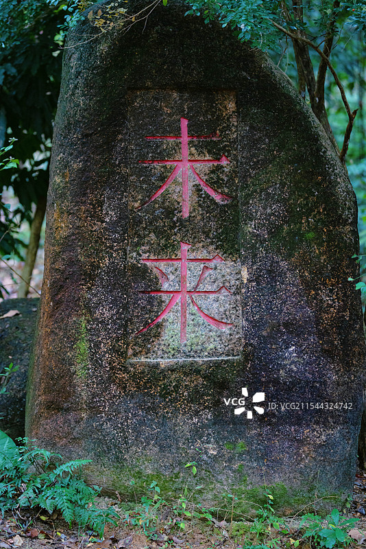 中国广东省深圳市南山区，燕晗山郊野公园，冬季雨雾天气，公园环境之美！图片素材