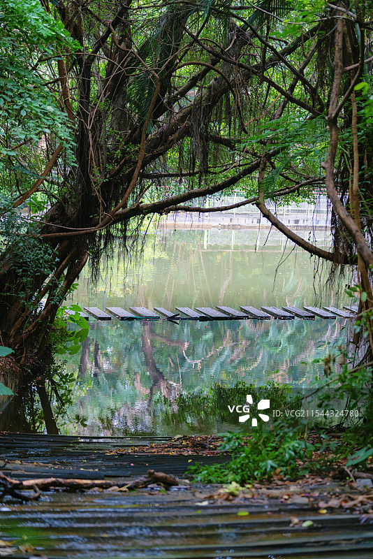 中国广东省深圳市南山区，燕晗山郊野公园，冬季雨雾天气，公园环境之美！图片素材