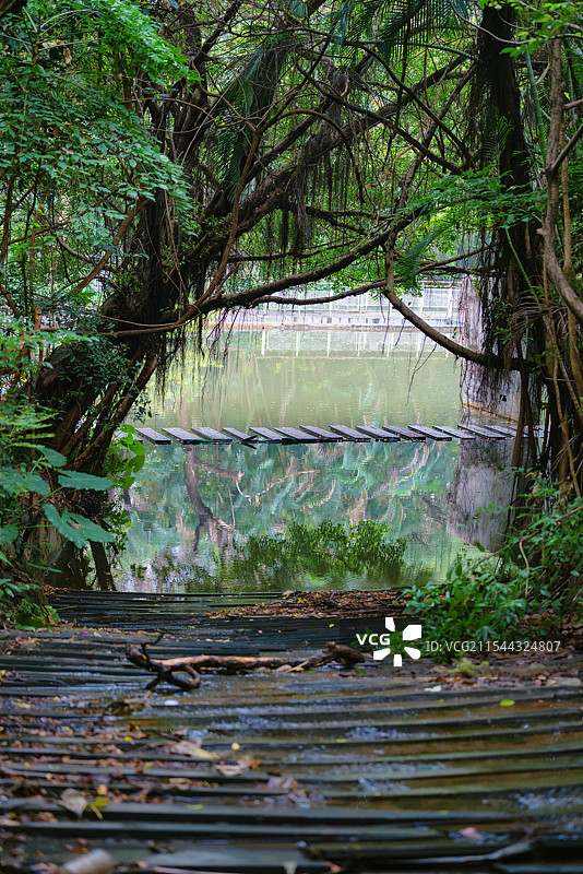 中国广东省深圳市南山区，燕晗山郊野公园，冬季雨雾天气，公园环境之美！图片素材