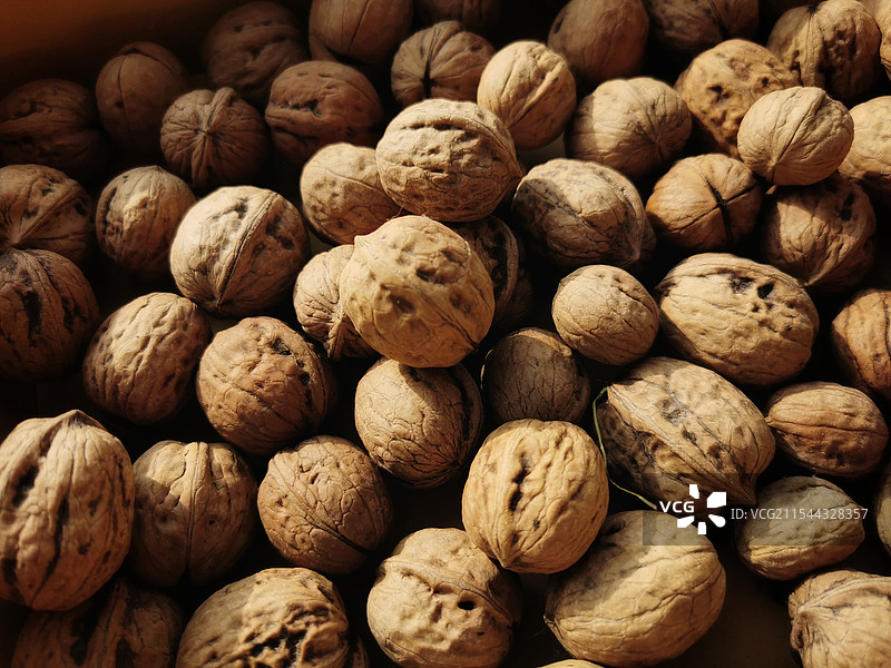 满画幅核桃图片素材