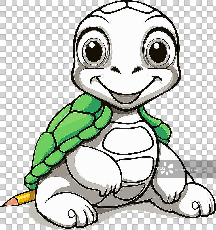 可爱的卡通海龟在白色背景上图片素材