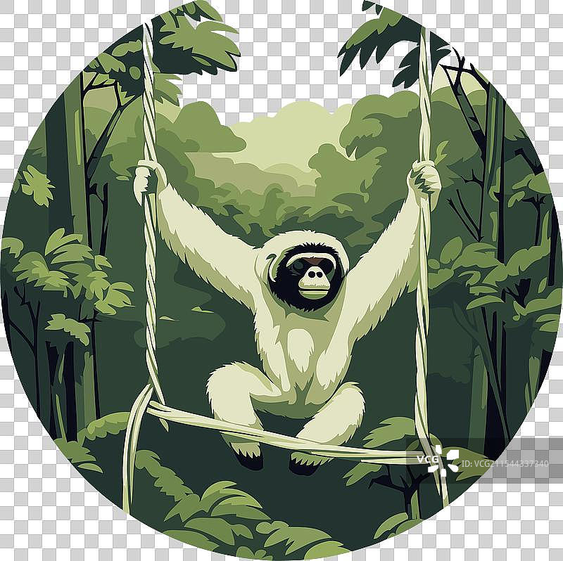 在丛林中荡秋千的长臂猿图片素材