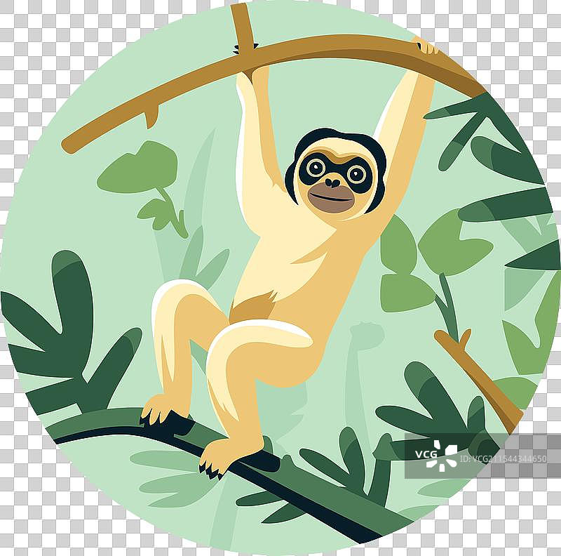 平面风格的树上的长臂猿图片素材