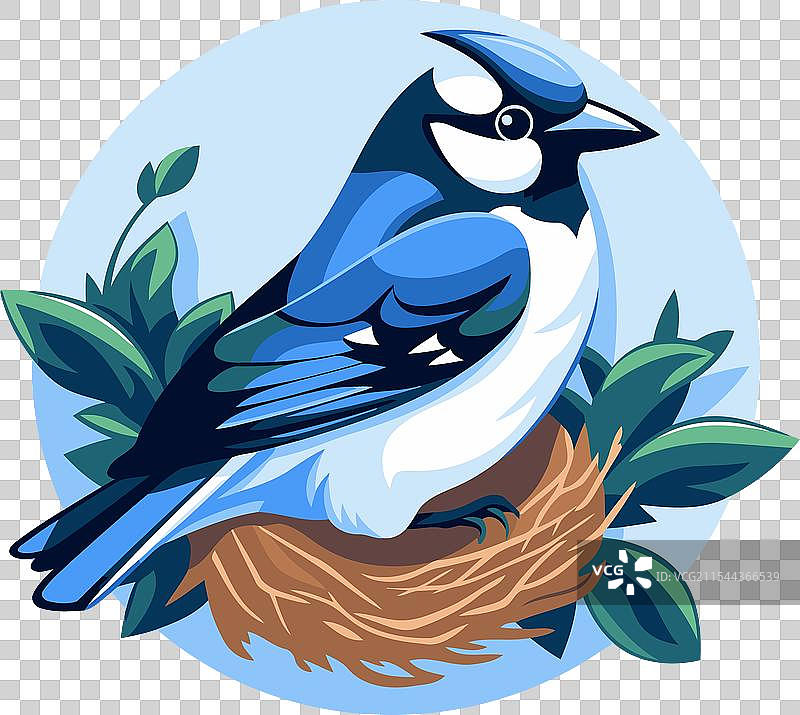 卡通蓝山雀鸟栖息在绿色的巢中图片素材