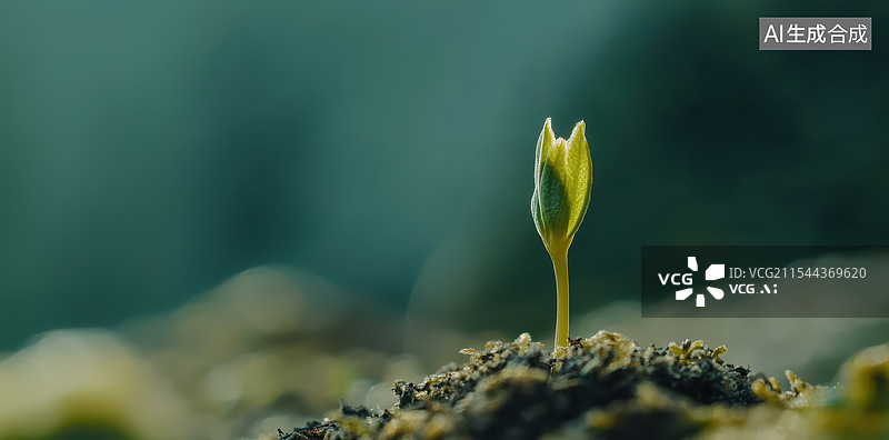 【AI数字艺术】春天破土而出发芽长出新芽的种子图片素材