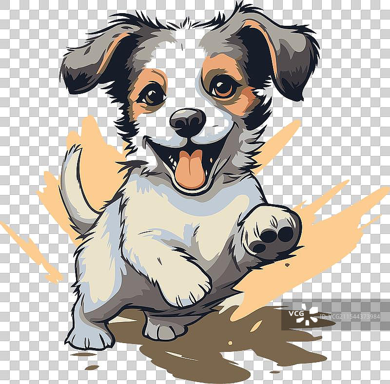 可爱的杰克拉塞尔梗小狗图片素材