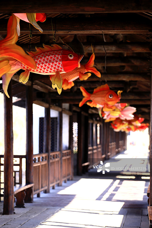 长廊里悬挂的鱼灯图片素材