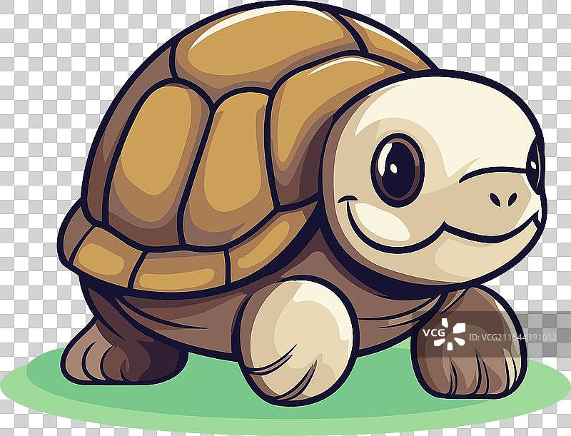 一只可爱的乌龟在绿色背景上图片素材