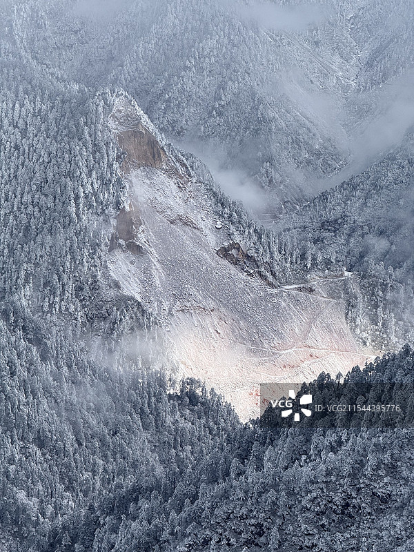 牛背山 川西雪山 森林 冰河图片素材