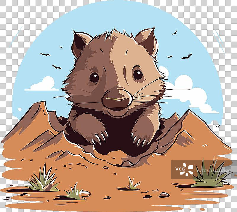 沙漠中的袋熊图片素材