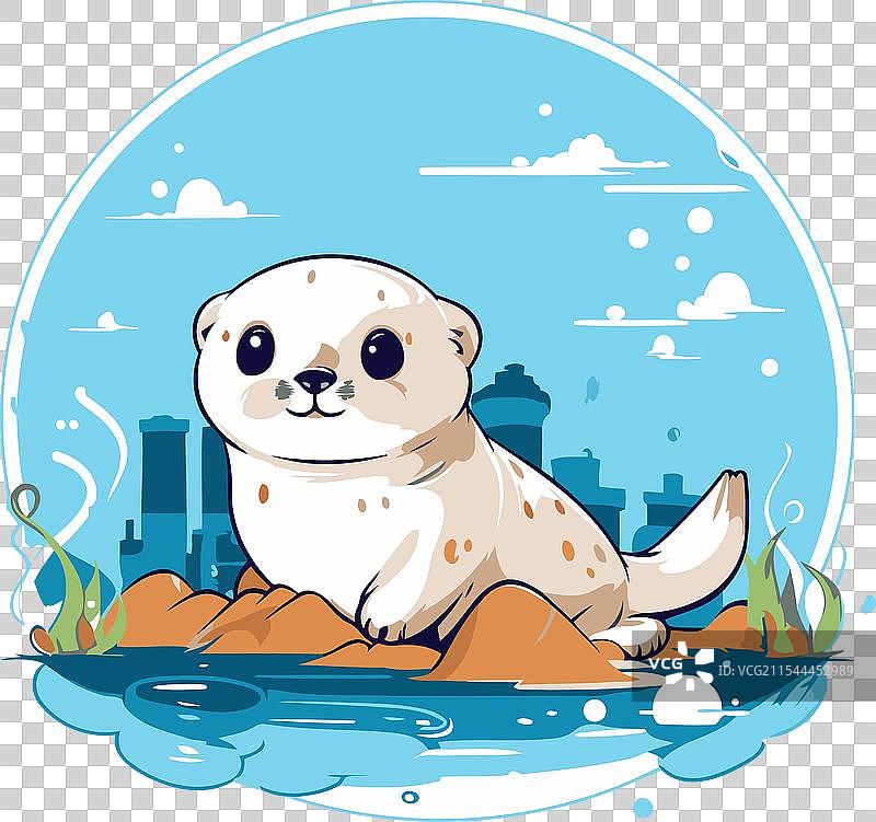 可爱的小海豹在河岸上图片素材